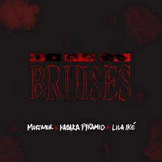 Buy Bruises